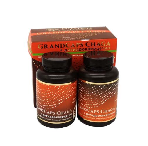 grandcaps chaga medicinske gljive